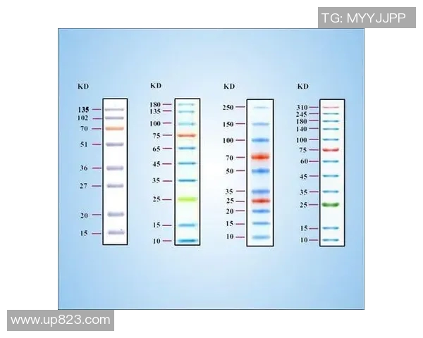 提升网球技巧与运动热情:从基础训练到实战策略的全面指南