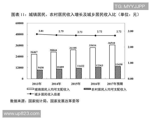 以规则为核心的现代社会秩序构建与发展趋势分析