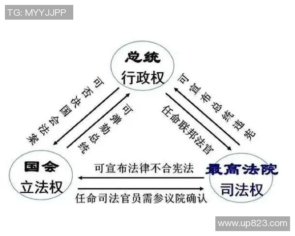 选举制度改革与民主发展的关系探讨：从多元化选举模式看国家治理的变革