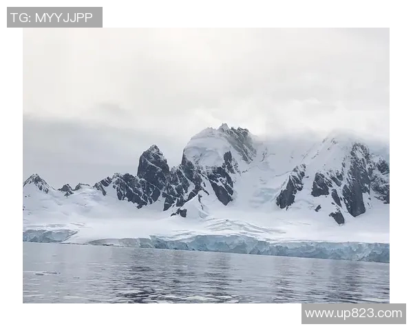 世界游泳纪录保持者的传奇之路与突破极限的挑战