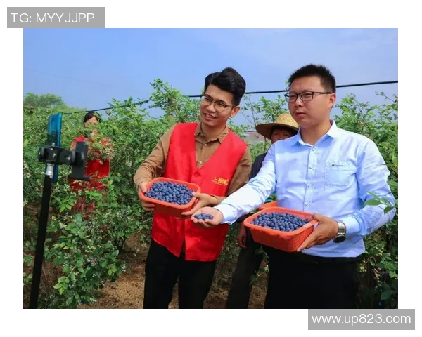 新闻直播全程追踪：聚焦国内外热点事件与实时报道分析