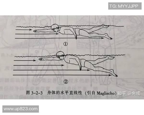 自由泳训练全方位提升技巧与耐力的系统化方法解析 自由泳训练全方位提升技巧与耐力的系统化方法解析